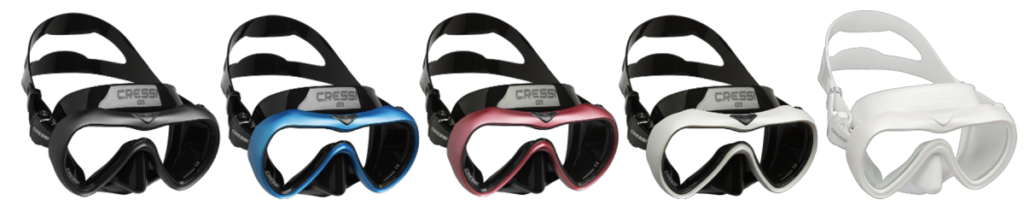 Mask Review: A1 and F-Dual